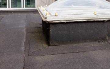 disadvantages of South Holme flat roofs